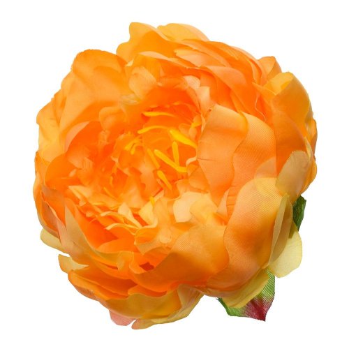 Hlava pivoňka oranžová p:10cm bal:12ks