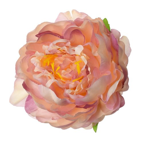 Hlava pivoňka st.ružová priem:10cm bal:12ks