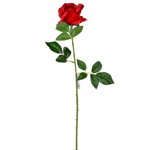 Ks ruža červená 65cm