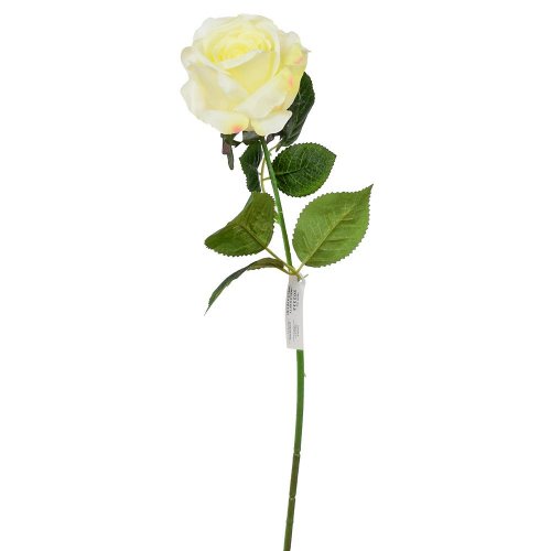 Ks ruža krém 50cm - Umelé kvety