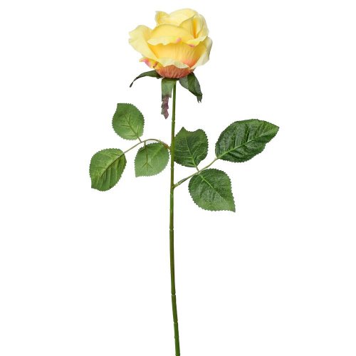 Ks ruža sv.oranž. 45cm