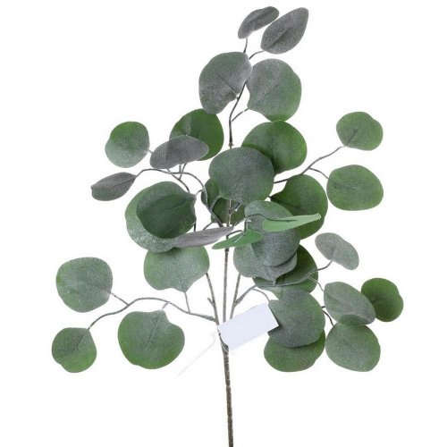 Listy eucalyptus 45cm