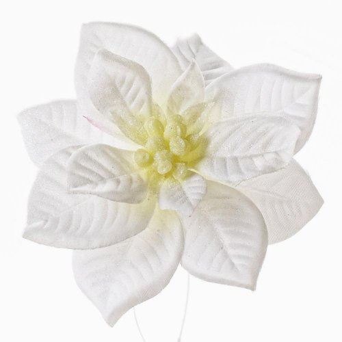 Poinsettia biela klip 12cm