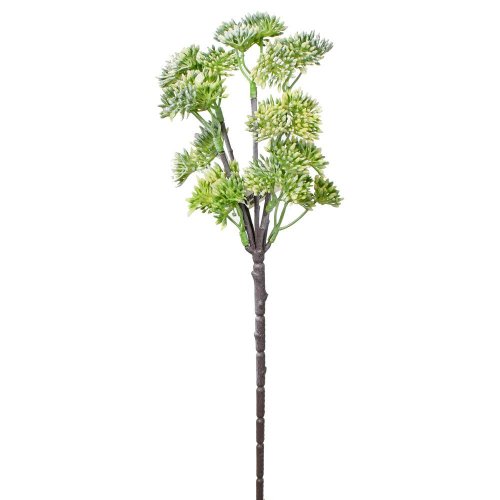 Zápich sedum elegans biele 35cm