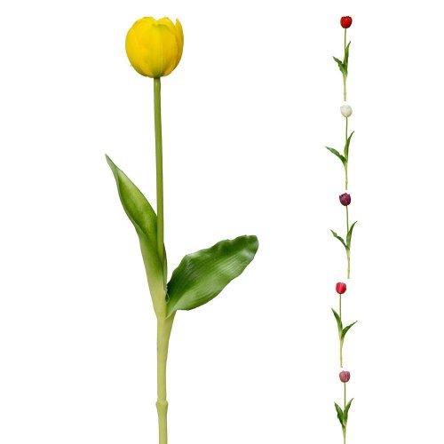 Ks tulipán mix 6f 40cm