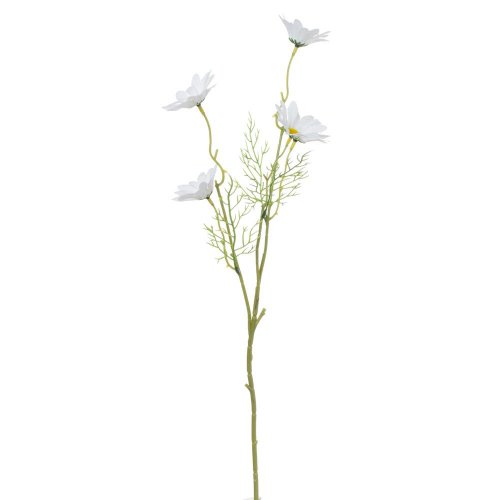 Ks margarétka 54cm
