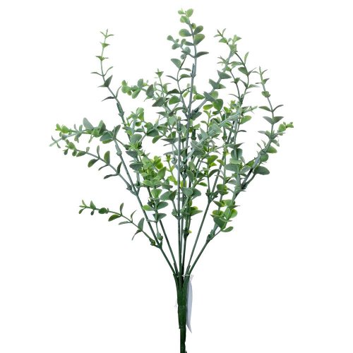 Zápich eucalyptus 35cm