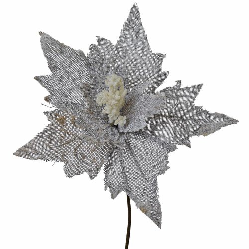 Ks poinsettia zasnežená sivá 23cm