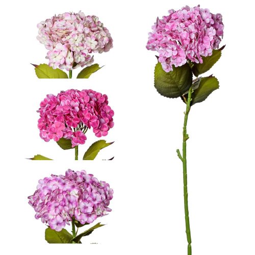 Ks hortenzia mix 4f 80cm