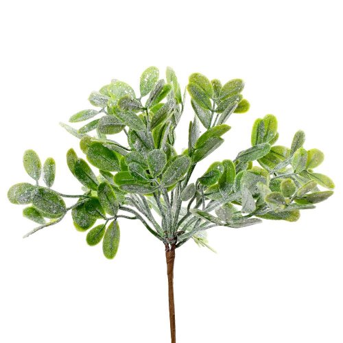 Zápich vian eucalyptus 20cm