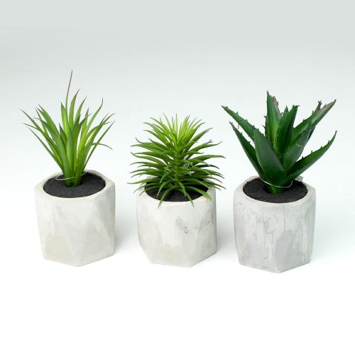 Suculent v kvetináči mix druh 18cm - Umelé kvety