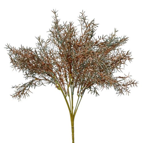 Zápich asparagus zelenomedená 37cm