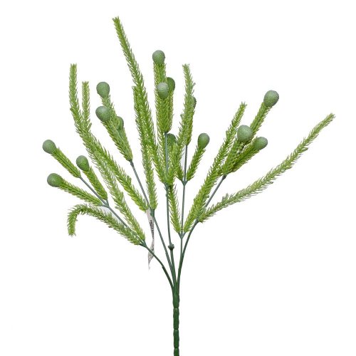 Zápich brunia zelená 34cm