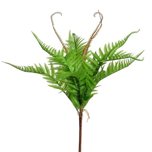 Zápich papraď s hnedými výhonkami 50cm
