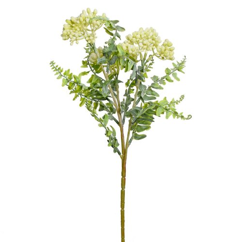 Ks sedum biele 42cm
