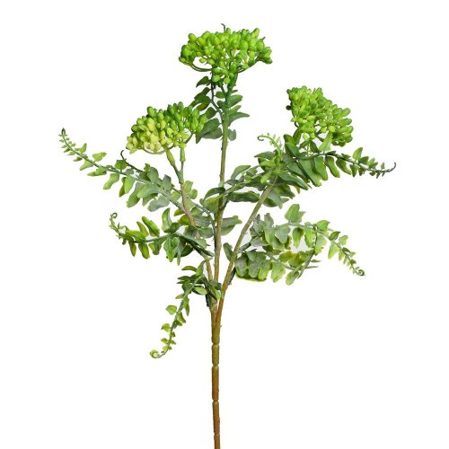 Ks sedum zelené 42cm