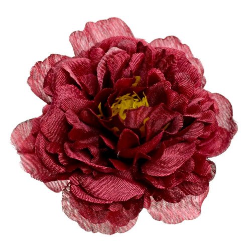 Hlava pivónia bordo p:8cm bal:24ks