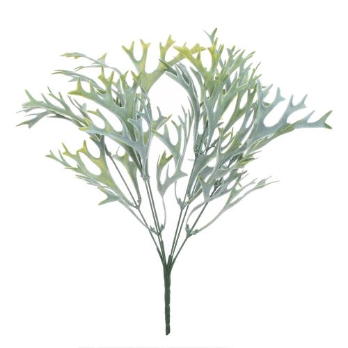 Zápich zeleň parohovec sv.zel.