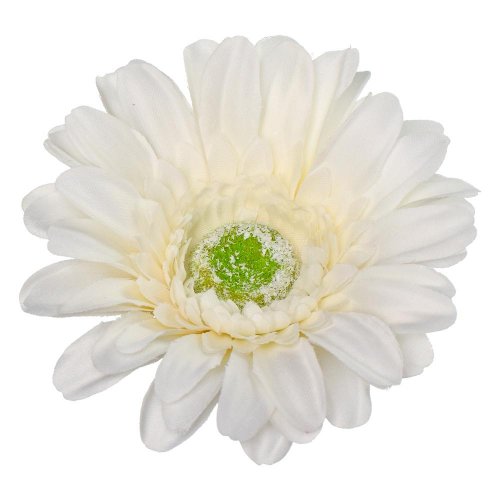 Hlava gerbera biela p:12cm bal:24ks