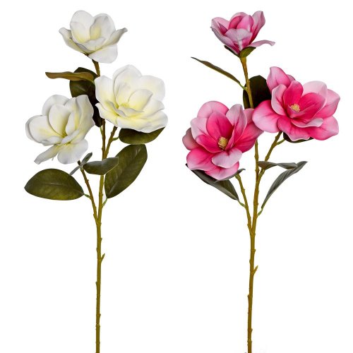 Ks magnólia 2f 80cm