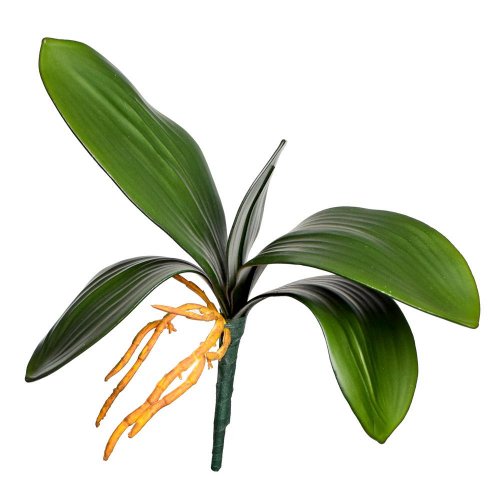 Zápich list orchidea 27cm