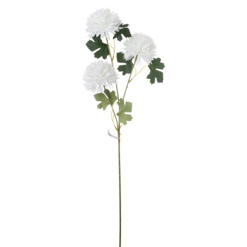 Ks chryzntéma x3 66cm biela