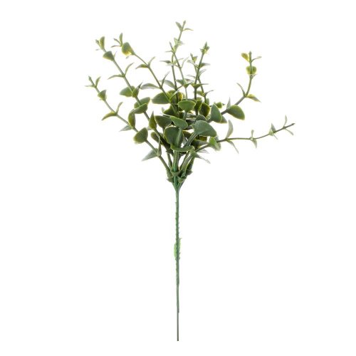 Zápich mini eukalypt zelený 22cm /zväzok 6ks/