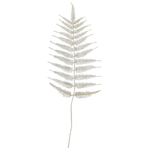 Konárik papraď champan 110cm