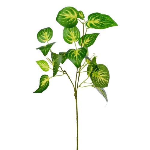 Zeleň scindapsus zeleno/žlt 57cm