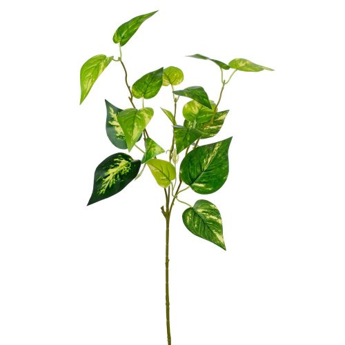 Zeleň scindapsus zelený panašovaný 55cm - Umelé kvety