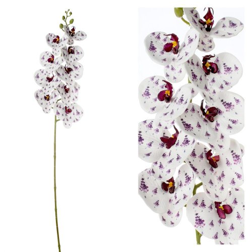 Orchidea phalenopsis biela s fial kvetmi 96cm