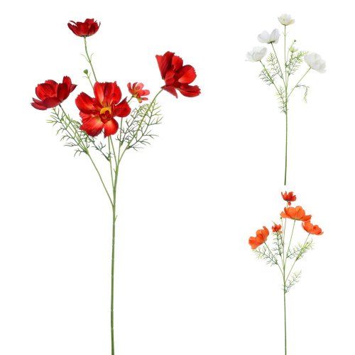 Ks cosmos mix/f 81cm
