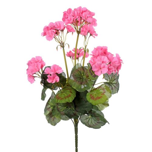 Kytica muškát ružový 46cm