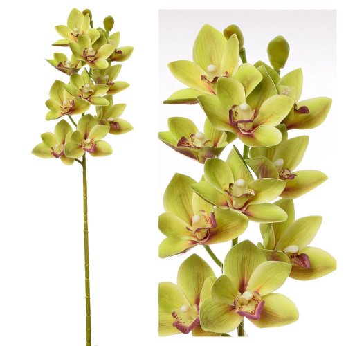 Kusovka orchidea cymbidium zelené 74cm