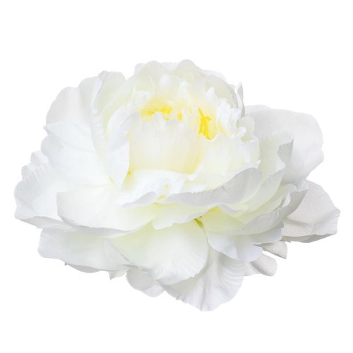 Hlava pivoňka krém priem:10cm bal:12ks - Umelé kvety