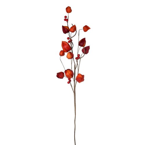 Vetvička physalis oranžový 70*20*6cm