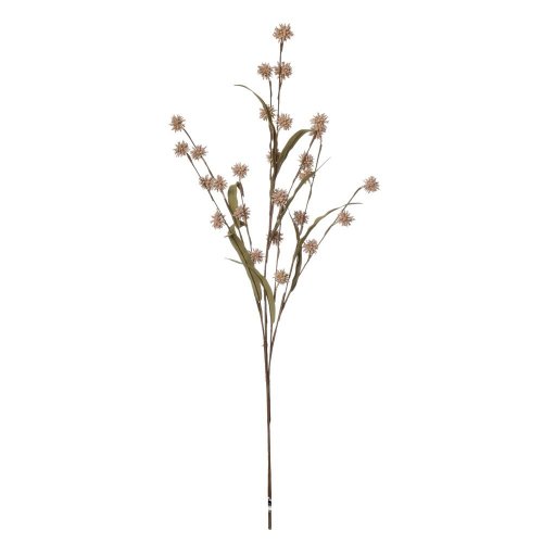 Konár bodliak ruž/béž 75cm - Umelé kvety