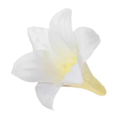 Hlava ľalia biela 14cm