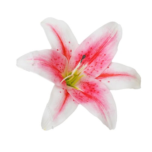 Hlava ľalia krémová 15cm - Umelé kvety