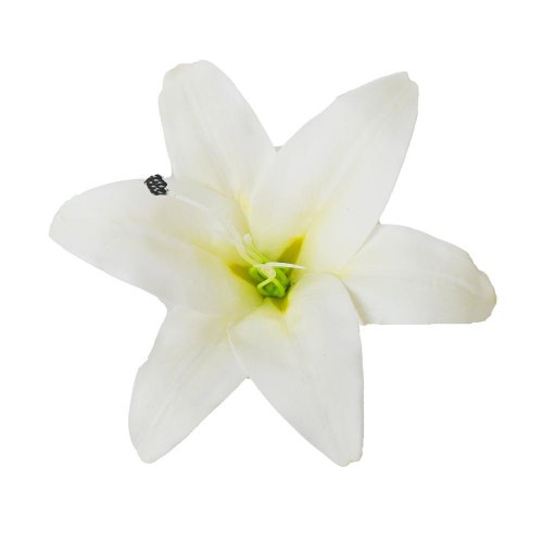 Hlava ľalia ružová 15cm