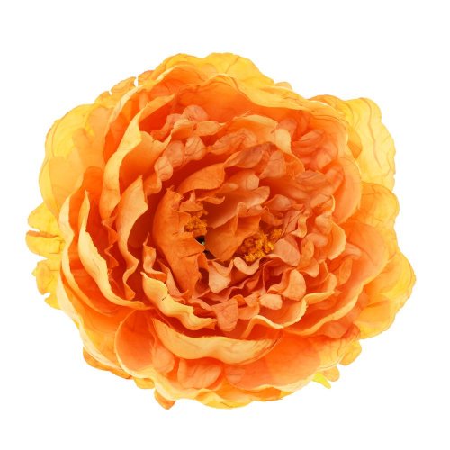 Ks pivonka hlava žltá 8*14cm