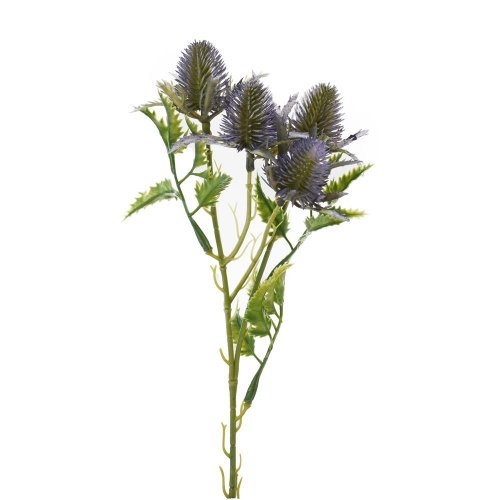 Zeleň eryngium-bodliak x3 fialový 27cm