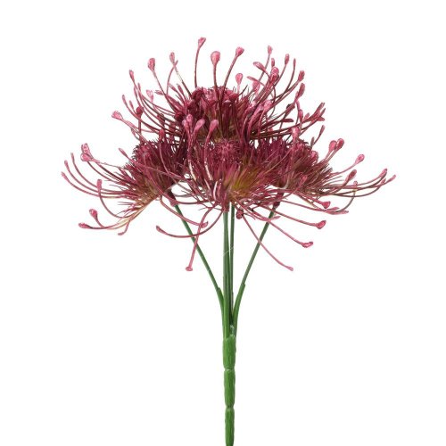 Zeleň chryzantéma x5 cerise 24cm - Umelé kvety