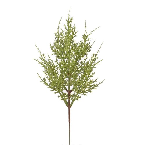 Zápich zeleň cyperus x13 36cm - Umelé kvety