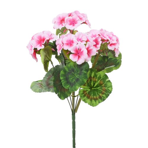 Kytica zonalka x6 ružová 38cm