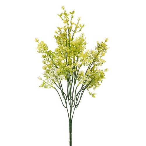 Zeleň waxflower žltý 44cm