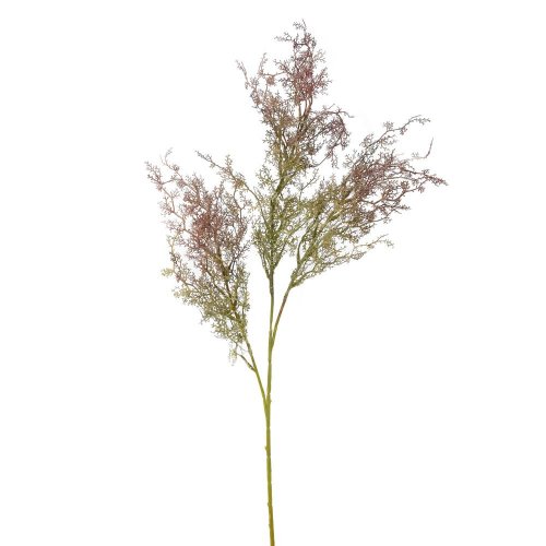 Zeleň asparát fialový 70cm