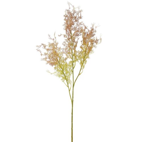 Zeleň asparát ružový 70cm - Umelé kvety