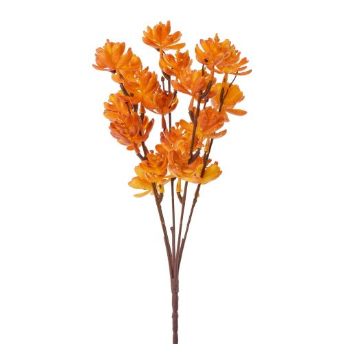 Zeleň sukulent oranžová 30cm - Umelé kvety