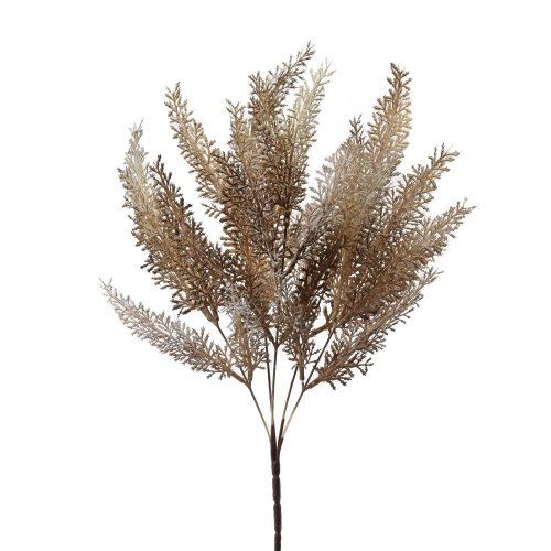 Zeleň asparát hnedý 37cm